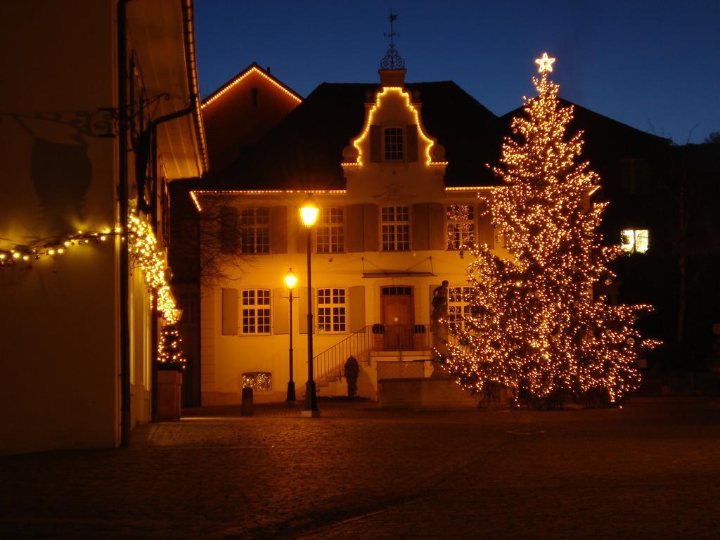 Hotel Gasthof Zum Ochsen Arlesheim Zewnętrze zdjęcie